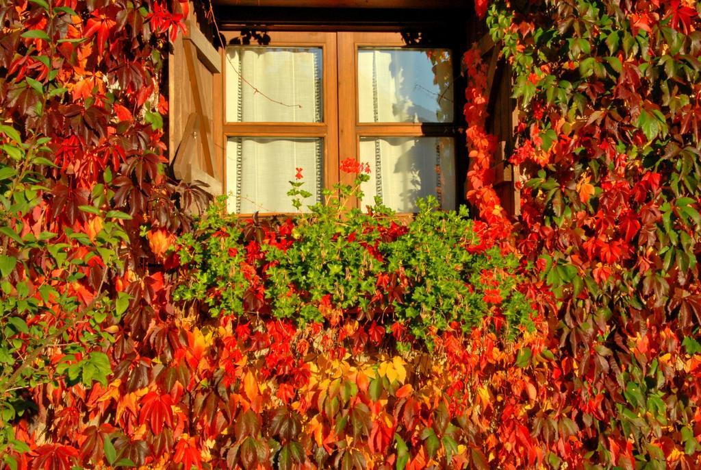 Hotel Selba d'Ansils Benasque Extérieur photo